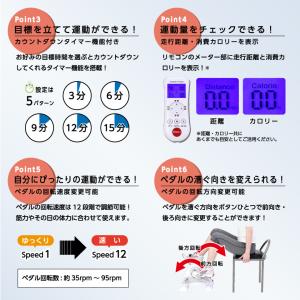 アルインコ 電動楽ラクムーブサイクル AFB3...の詳細画像4