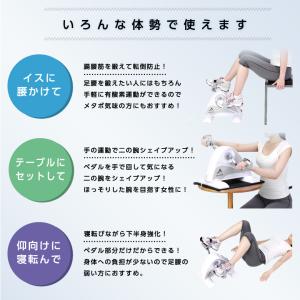 アルインコ 電動楽ラクムーブサイクル AFB3...の詳細画像5