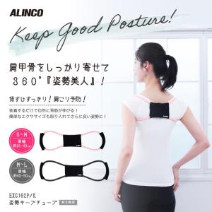 クロネコゆうパケット対象 アルインコ 姿勢キー...の詳細画像1