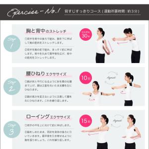 クロネコゆうパケット対象 アルインコ 姿勢キー...の詳細画像3