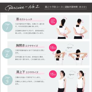 クロネコゆうパケット対象 アルインコ 姿勢キー...の詳細画像5