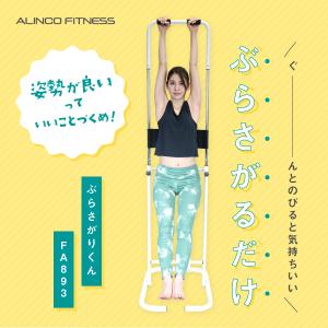 アルインコ ぶらさがりくん ブラサガリクン FA893 ぶらさがり健康器｜a-fitness