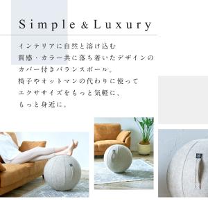 アルインコ バランスボール シェリア 55cm...の詳細画像2