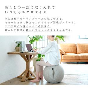 アルインコ バランスボール シェリア 55cm...の詳細画像3