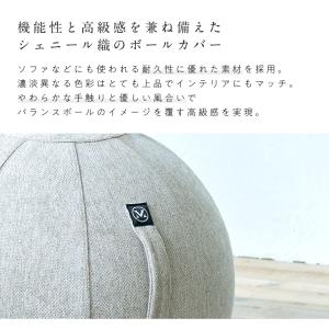 アルインコ バランスボール シェリア 55cm...の詳細画像4