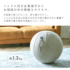 アルインコ バランスボール シェリア 55cm...の詳細画像5