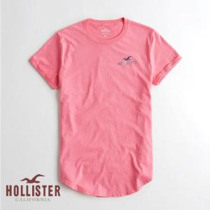 ホリスター HOLLISTER メンズ Tシャツ 半袖 ク...