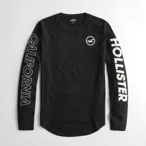 ホリスター HOLLISTER 新作 メンズ 長袖 ロンT ...