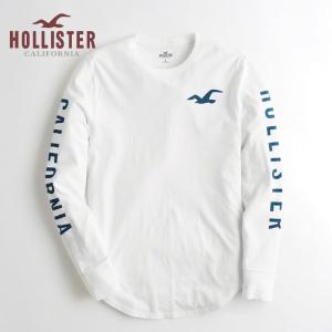 セール ホリスター HOLLISTER 新作 メンズ 長袖 ...