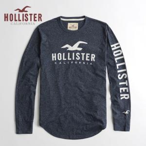 ホリスター HOLLISTER 新作 メンズ ロンT アイコ...