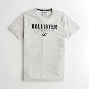 Hollister メンズ半袖tシャツ カットソーの商品一覧 Tシャツ カットソー トップス ファッション 通販 Yahoo ショッピング