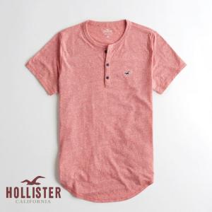 ホリスター HOLLISTER メンズ Tシャツ 半袖 マス...