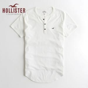 ホリスター HOLLISTER メンズ Tシャツ 半袖 マス...