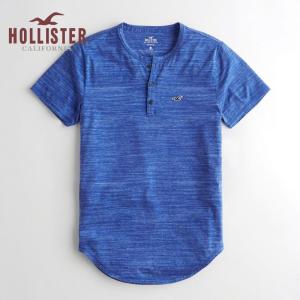 ホリスター HOLLISTER メンズ Tシャツ 半袖 マス...