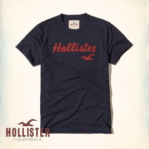 ホリスター Tシャツ メンズ  HOLLISTER  半袖 Applique logo graphic 62651 ネイビー