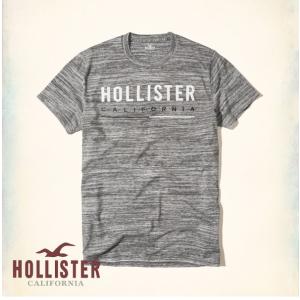 ホリスター HOLLISTER 新作 メンズ Tシャツ 半...