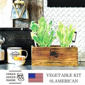 アーバングリーンメーカーズベジタブルキットアメリカン家庭菜園 栽培 キット セット ハーブ 野菜 グリーン プレゼント ギフト