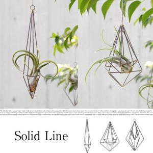 Solid Line Sl 02 ソリッドラインsl02 スチール オーナメント ハンギング カフェ エアプランツ ギフト 北欧 年末年始大決算 植物