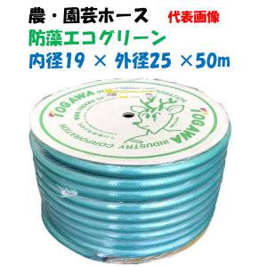 透明ビニールホース 50m巻 19×23 (内径19Φ × 外径23Φ) 工業機械用