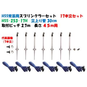 スプリンクラーセット　2個 HSS 育苗用スプリンクラーセット HSS-254-5H 立上り管40cm 5本立 12.6