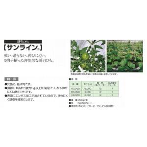 サンライン誘引紐 #3000 6,000m巻 ...の詳細画像1