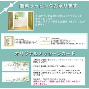 『クーポン対応』シチズン カンパノラ エコドラ...の詳細画像5