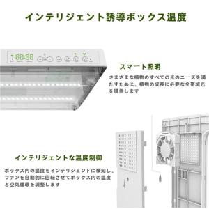 水耕栽培キット 栽培システム 健康 無土壌栽培...の詳細画像3