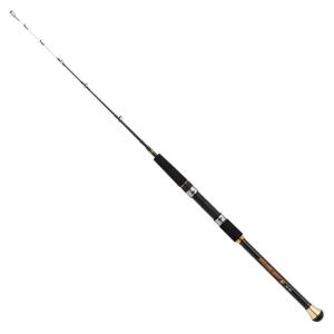 シマノ（SHIMANO） ホリデー磯 4号-450PTS 251725 遠投仕様 磯竿 竿