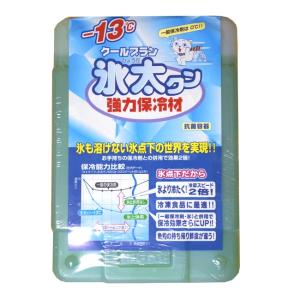 【INOAC/イノアック】クールプラン氷太くん　-13度　550g　003046　INOAC003046　強力保冷材　保冷材　釣り　アウトドア　レジャー小物｜a-k-k