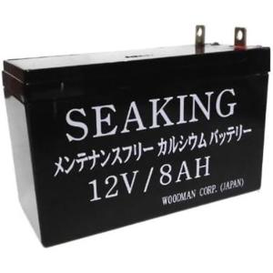 DAIWA（ダイワ） タフバッテリー 12000 IV(4) (充電器付き) 電動リール