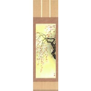 掛け軸 金武 翠輝作 羽衣 桐箱付き Amazon.co.jp: 掛け軸 金武 翠輝作 羽衣 桐箱付き : おもちゃ