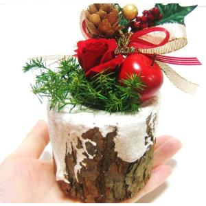 クリスマスギフトブッシュドノエル/クリスマス プ...の商品画像