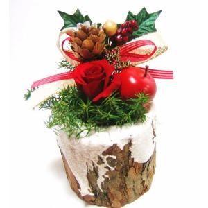 クリスマスギフトブッシュドノエル/クリスマス ...の詳細画像2