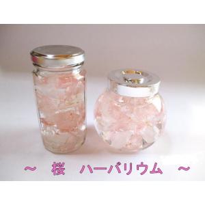 ハーバリウム ペット お供え 送別 退職祝い 母の日 ギフト 桜 桜色 桜カラー プリザーブドフラワー ギフト プレゼント 誕生日 内祝
