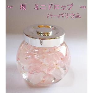 ハーバリウム ペット お供え 送別 退職祝い ...の詳細画像2