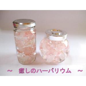 ハーバリウム ペット お供え 送別 退職祝い ...の詳細画像3