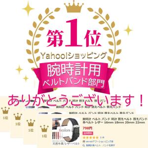 腕時計 ベルト バンド 時計 替えベルト 替え...の詳細画像1