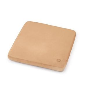 アイリスオーヤマ HW-IC4-C ヒートクッション USB電源 40×40cm 10W