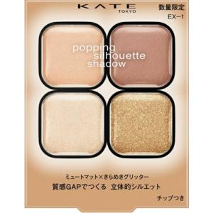 ケイト　ポッピングシルエットシャドウ　ＥＸー１　神奈川倉庫
