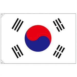 N国旗(販促用) 23693 韓国 大 代引き不可