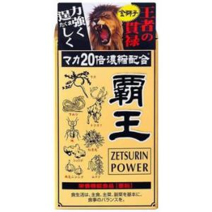 ジャパンギャルズSC　覇王　120cp