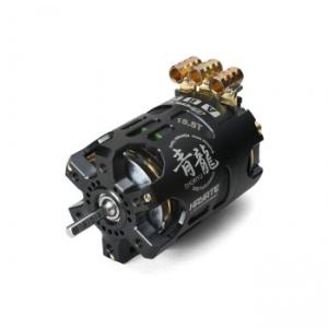 爆買 G-FORCE SHORYU 青龍 Drift Brushless Motor 15.5T G0907 - 最