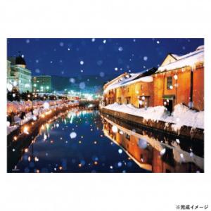 雪の小樽運河など300ピースx9箱です。 雪の小樽運河など300ピースx9箱です。 Amazon | 【日本製