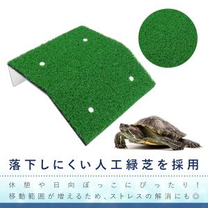 【大サイズ】浮き島 爬虫類 亀 両生類 6cm...の詳細画像3
