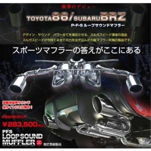 スルガスピード SURUGA」ティアナ（L33）QR25用PFSループサウンド