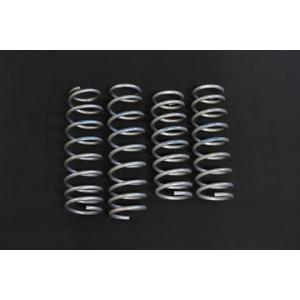 ジムニー タニグチ SOLVE ACE60コイルスプリングJB64 : エヌズステージ