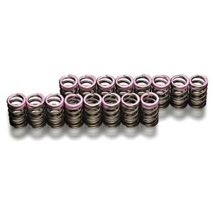 「戸田レーシング TODA」S2000（AP1/AP2）F20C/F22C用強化バルブスプリングset