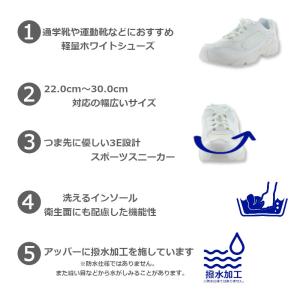 MoonStar ムーンスター ADVAN ア...の詳細画像1