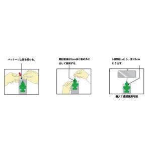 Little Trees リトルツリー 202...の詳細画像2