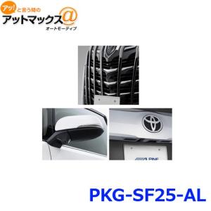 アルパイン PKG-SF25-AL 3カメラセーフティーパッケージ フロントグリル取付けタイプ ブラック {PKG-SF25-AL[960]}